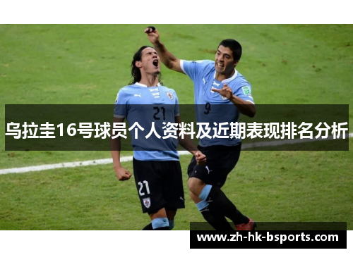 乌拉圭16号球员个人资料及近期表现排名分析